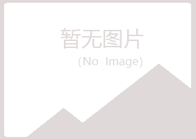 日照岚山代梅水泥有限公司